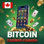 Fast Payout Bitcoin Casino for High Rollers in Canada A Comprehensive Guide