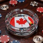 High Rollers: The Best Canadian Crypto Casino
